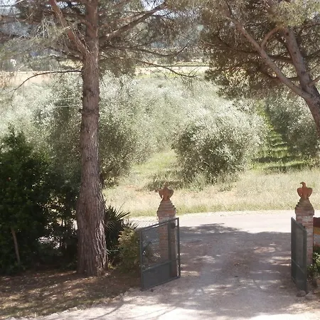 Agriturismo Poggio Sassineri-2